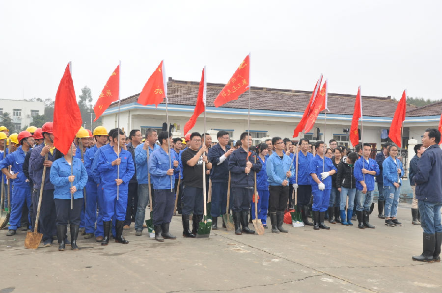 讓森林走進銀億，讓銀億擁抱森林